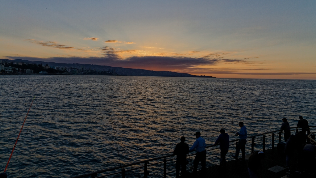 04 - Viña del Mar (2).jpg